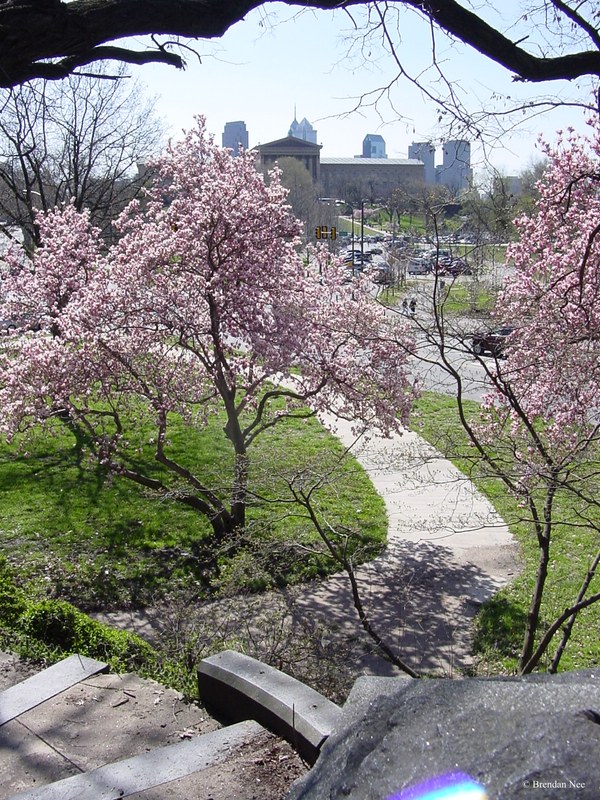 Philadelphia Art Museum - Philadelphia 4-03 157